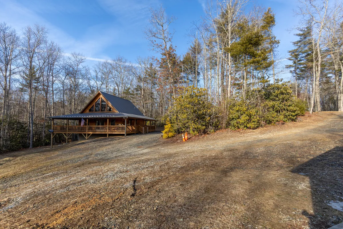 A wide view of the cabin nestled among tall trees with a gravel driveway leading up to it. The lush greenery and the cabin's wooden exterior evoke a tranquil, adventurous atmosphere, inviting guests to explore the surrounding natural wonders.
